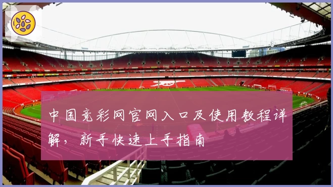 中国竞彩网官网入口及使用教程详解，新手快速上手指南