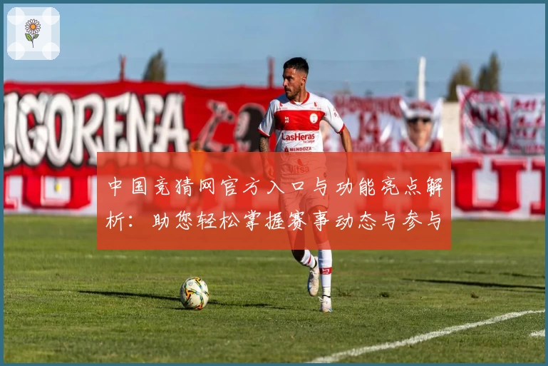 中国竞猜网官方入口与功能亮点解析：助您轻松掌握赛事动态与参与方式