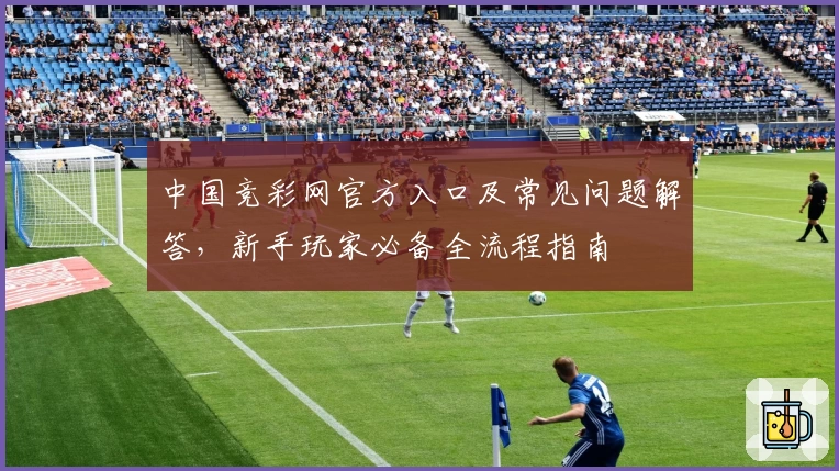 中国竞彩网官方入口及常见问题解答，新手玩家必备全流程指南